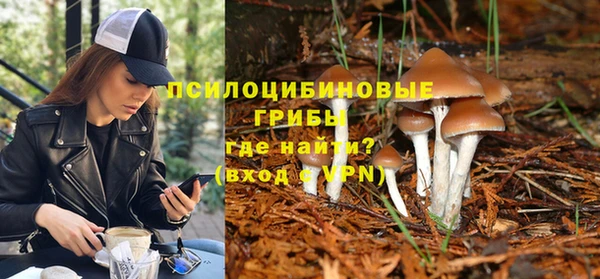 трава Балахна