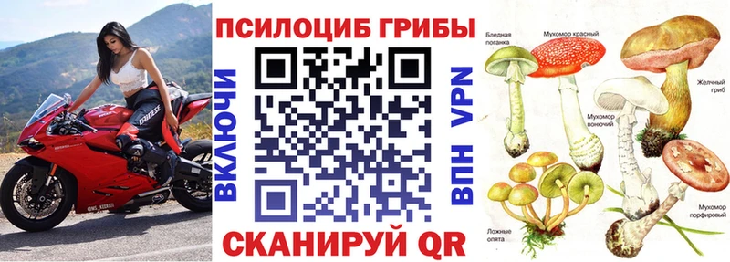 Псилоцибиновые грибы Psilocybe  Купить закладки  Мурино 
