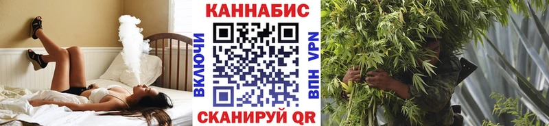 Шишки марихуана сатива  Купить где  Мурино 